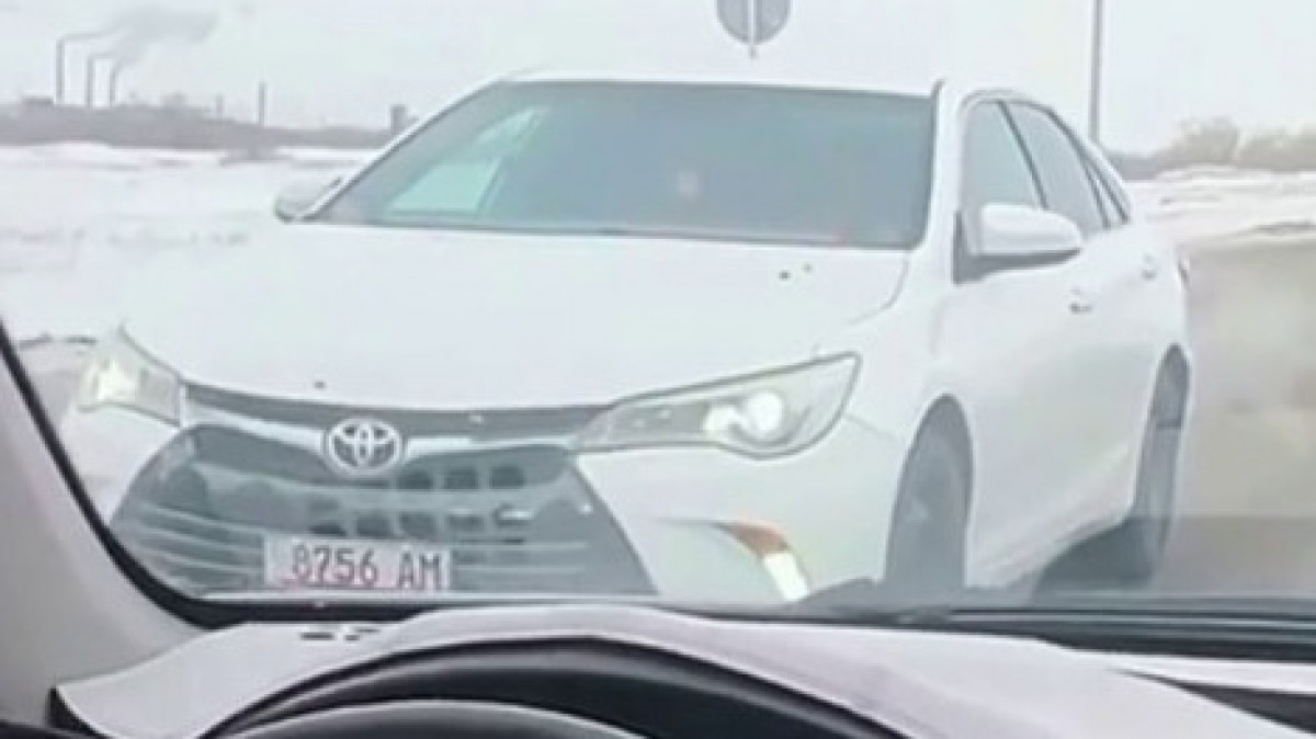  видеодан скриншот