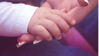 Фотография к новости: Түркістанда үшем дүниеге келді