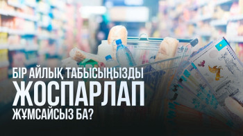 Фотография к новости: Жалақы қайда кетеді? Бір айлық табысты дұрыс бөлудің қарапайым формуласы