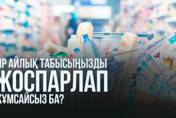 Фотография к новости: Жалақы қайда кетеді? Бір айлық табысты дұрыс бөлудің қарапайым формуласы