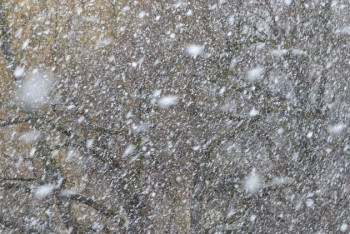 Фотография к новости: Қар, тұман, қатты жел: Бірқатар өңірде дауылды ескерту жарияланды