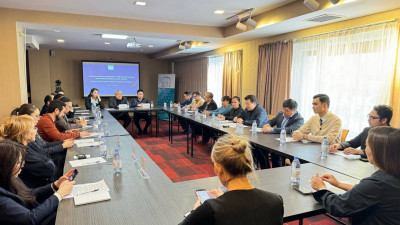 Атқарушы билік күшейеді: Жаңа Конституция не ұсынады?