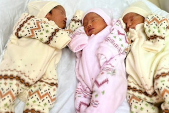 Фотография к новости: Димаш, Дәулет, Дина: Шымкентте үшем дүниеге келді