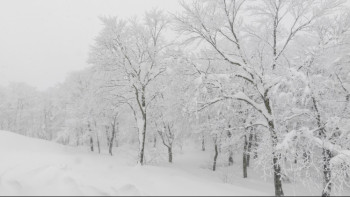 Фотография к новости: Қар, көктайғақ, тұман: 14 облыста дауылды ескерту жарияланды