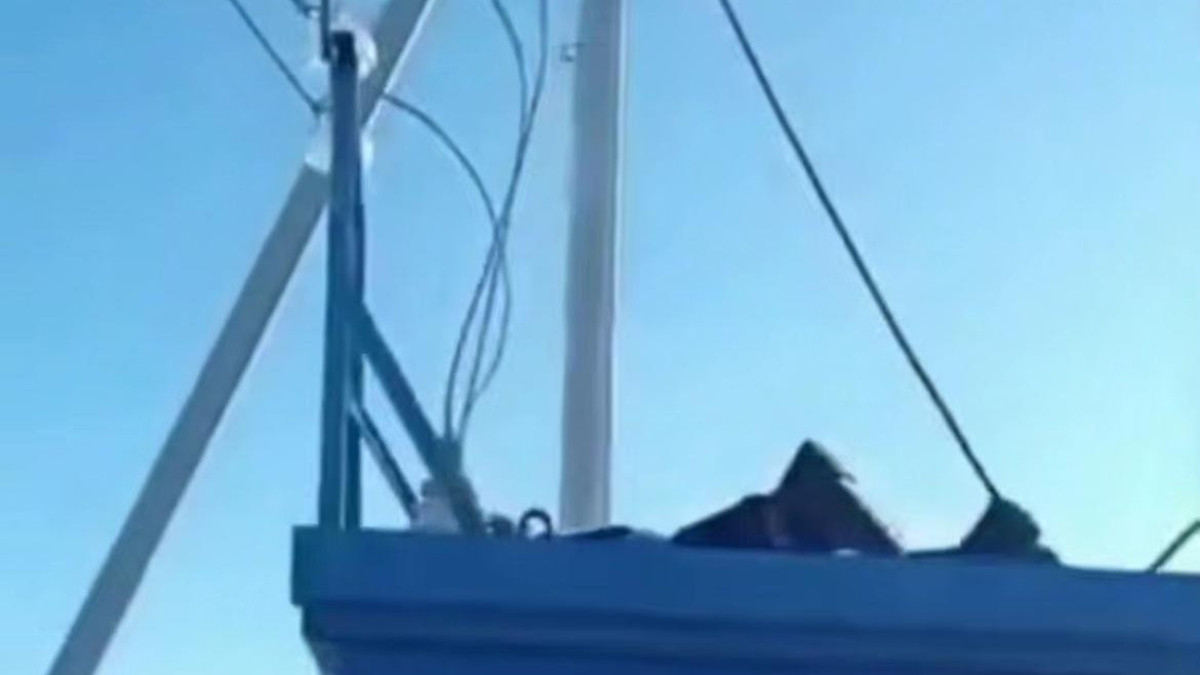  «Жалобы Астана» телеграм-арнасы/видеодан алынған кадр