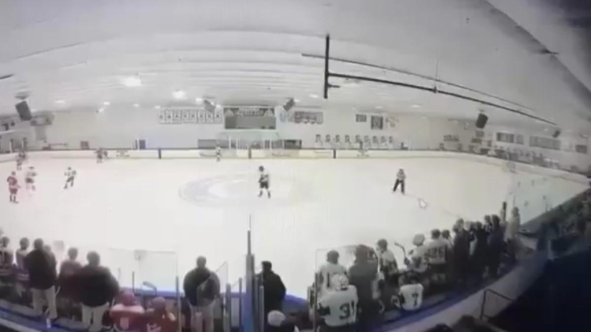  видеодан скриншот