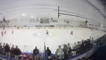 Фотография к новости: АҚШ-та хоккей матчындағы атыс: Екі адам қаза тауып, үшеуі жараланды