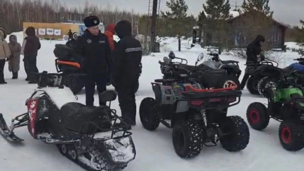  видеодан скриншот