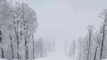 Фотография к новости: 18 ақпанда бірқатар өңірде ауа райына байланысты ескерту жасалды
