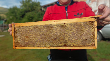 Фотография к новости: Бал экспорты рекорд жаңартты: 1 477 тонна шетелге жөнелтілді