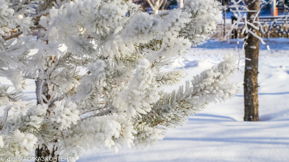  ©BAQ.KZ архиві