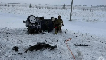 Фотография к новости: Ресейдің Орынбор облысында жол апатынан төрт адам қаза тапты