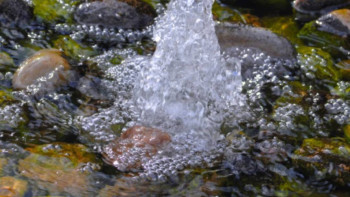 Фотография к новости: Қазақстанда 711 жаңа бұлақ анықталды