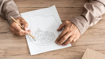 Фотография к новости: Ми дерті шаштан байқала ма? – Жаңа әдіс ұсынылды