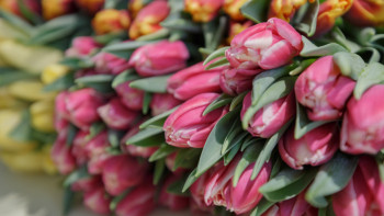 Фотография к новости: 8 наурыз қарсаңында алаяқтар қалай алдауы мүмкін?