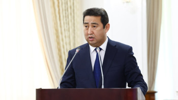 Фотография к новости: 30 мың жалған құжат: Министр мал дәрігерлеріне бақылау әлсіз екенін мойындады