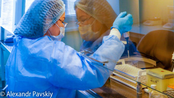 Фотография к новости: "Стратус": Ресейде вирустың жаңа түрі тарап жатыр