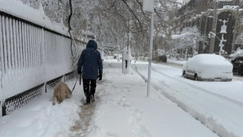 Фотография к новости: АҚШ-тың шығысында қарлы боран: 10 000 рейс тоқтатылып, жүздеген мың адам электр қуатынсыз қалды