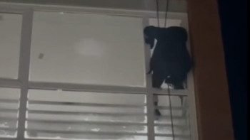 Фотография к новости: Шымкентте балкон жөндеп жатқан жұмысшы 5-ші қабаттан құлап, қаза тапты