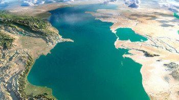 Фотография к новости: Үкімет Каспийді сақтауға 1,1 млрд теңге бөлді