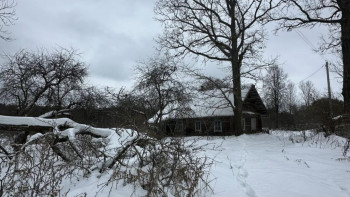 Фотография к новости: Беларусьте тұтас бір ауыл 5 млн теңгеге сатылымға шығарылды