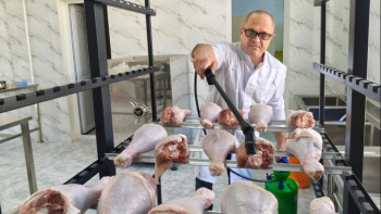 Фотография к новости: Енді құс етін ұзақ сақтауға болады: Қазақстандық ғалымдар жаңа технология ұсынды