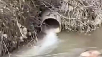 Фотография к новости: Лаборатория қорытындысы бар, бірақ шешім жоқ: Көксәйек тұрғындарының жанайқайы