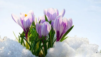 Фотография к новости: Қазақстанда күн жылынады