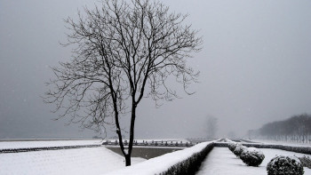 Фотография к новости: "Қар, тұман, көктайғақ". Сенбіде бірнеше өңірде дауылды ескерту жарияланды