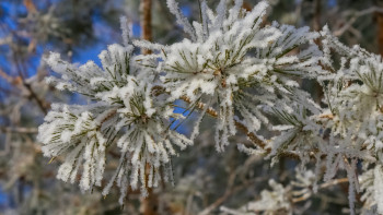 Фотография к новости: Қазақстанда 51 жыл бұрынғы температура рекорды жаңарды: Қаңтарда +19 бен -42 градус тіркелді