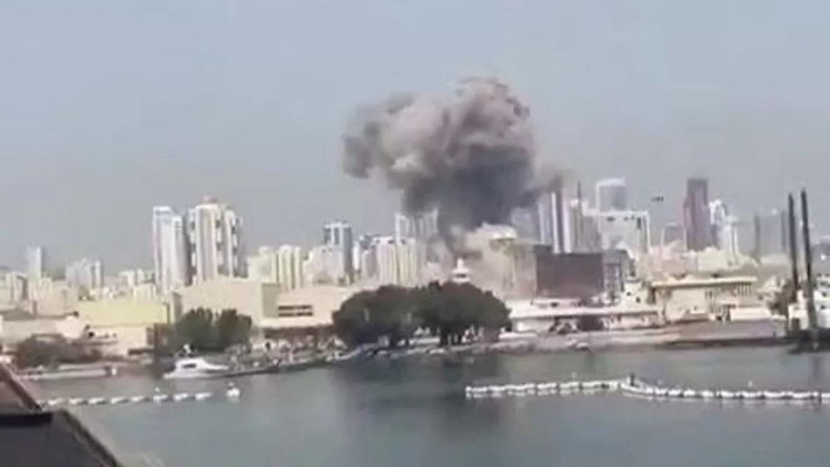  видеодан кадр