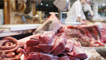 Фотография к новости: Етке басымдық, бұршаққа шектеу: Еуропада жаңа пікірталас