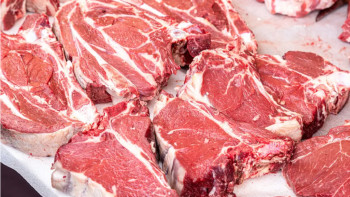 Фотография к новости: Шымкентте 75 жастағы азаматтан сібір жарасы анықталды