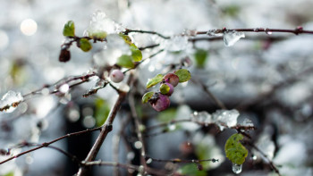 Фотография к новости: Наурыз айында елімізде ауа райы қандай болады?
