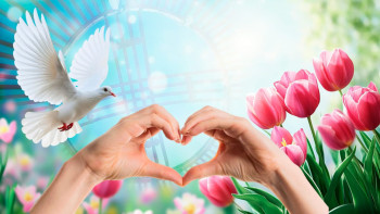 Фотография к новости: Қазақстанда Алғыс айту күні: ризашылықтан басталатын бірлік тарихы