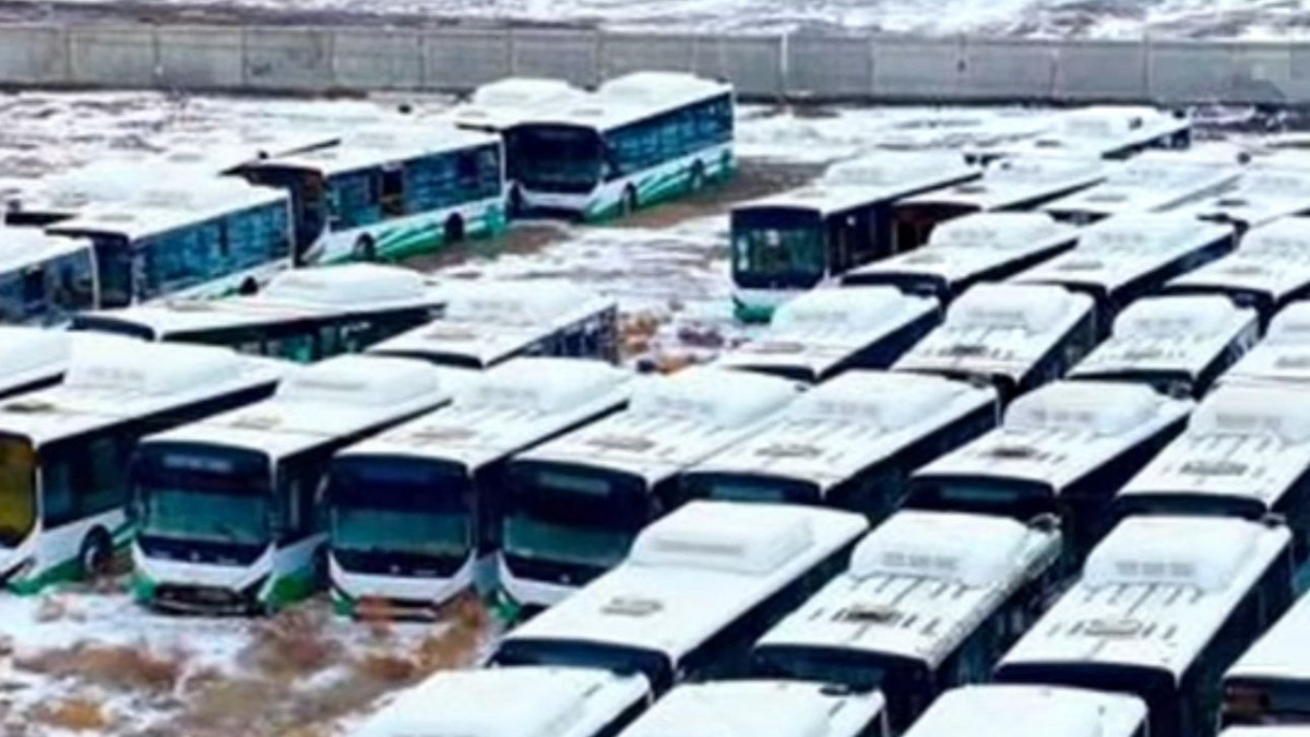  Видеодан кадр