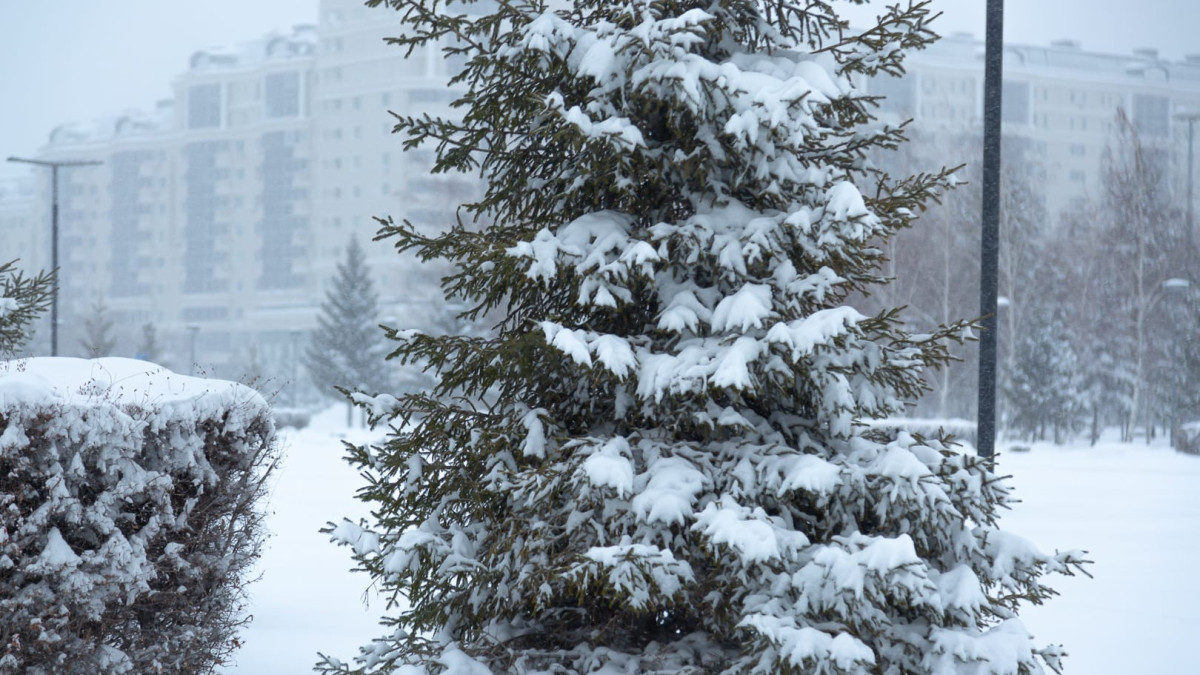  ©BAQ.KZ архиві/Артем Чурсинов