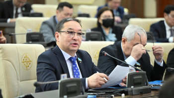 Фотография к новости: Депутат қазақстандықтарды Таяу Шығыстан эвакуациялауға қатысты мәселе көтерді