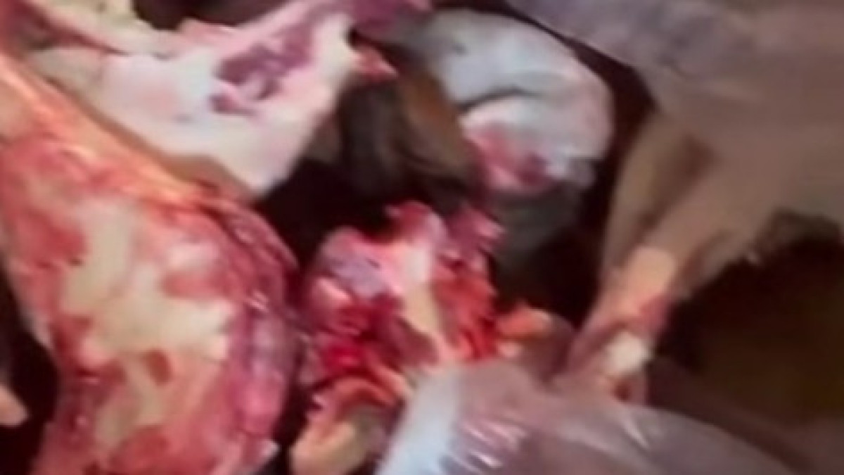  видеодан скриншот