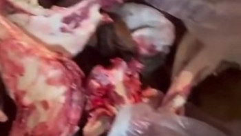 Фотография к новости: "Етті базарда сатқан": Астанада санитарлық талаптарға сай емес жасырын ет цехы анықталды