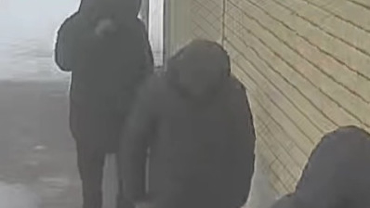  видеодан скриншот