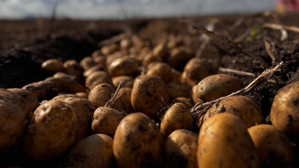  Александр Матвиенконың жеке мұрағаты