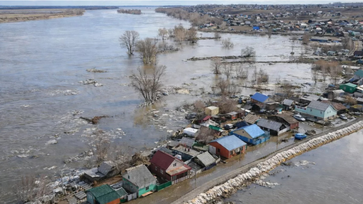  Жасанды интеллект