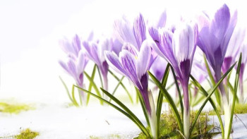 Фотография к новости: -25°С аяз: Мереке күндері Қазақстанда ауа райы қандай болады?