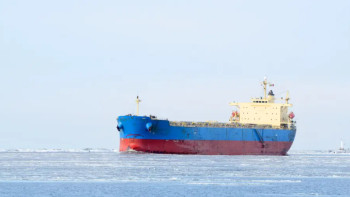 Фотография к новости: Мұнай дағдарысы: АҚШ Үндістанға Ресей мұнайын уақытша сатып алуға рұқсат берді