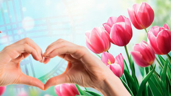 Фотография к новости: Қазақстанда қай мамандықты әйелдер көп таңдаған? – Жаңа деректер