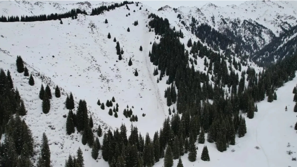  Алматы төтенше жағдайлар департаменті