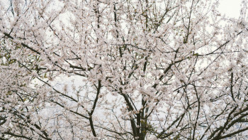 Фотография к новости: 8 наурызда бірнеше өңірде ауа райына байланысты ескерту жасалды