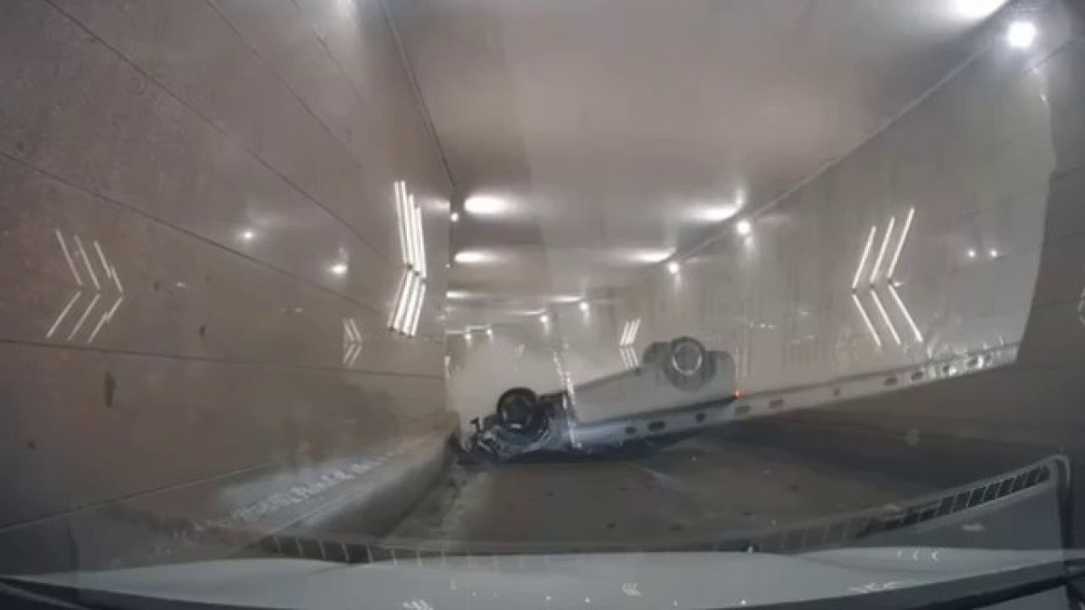  видеодан скриншот