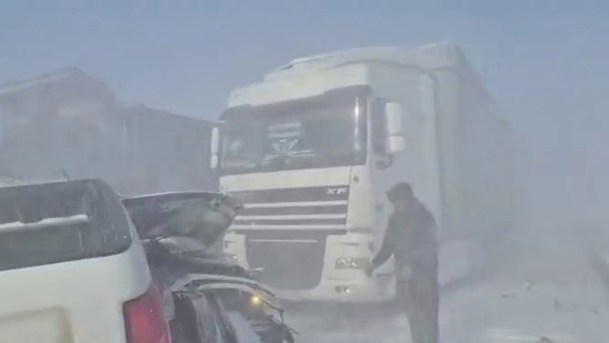  видеодан скриншот